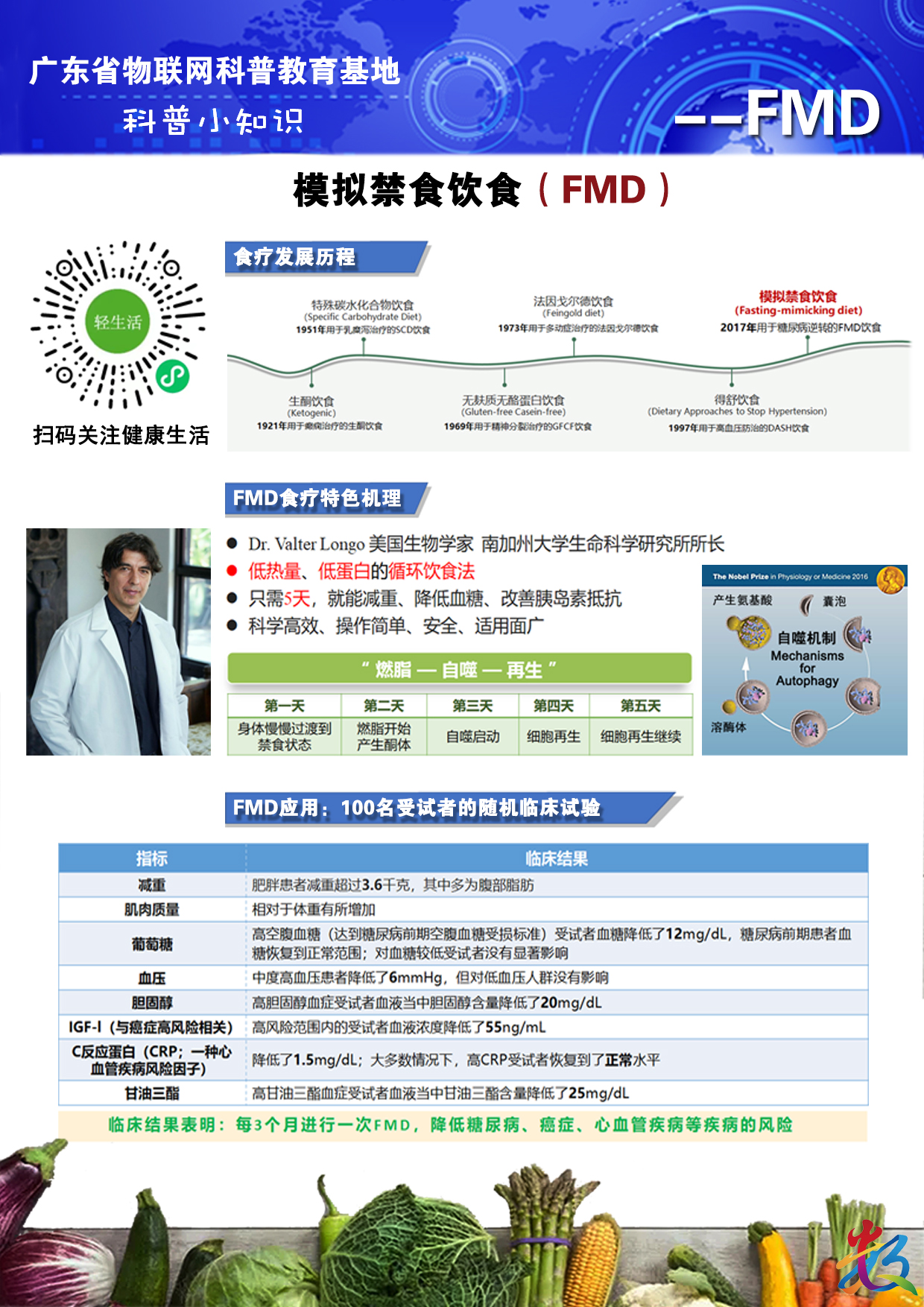 单页介绍（FMD）