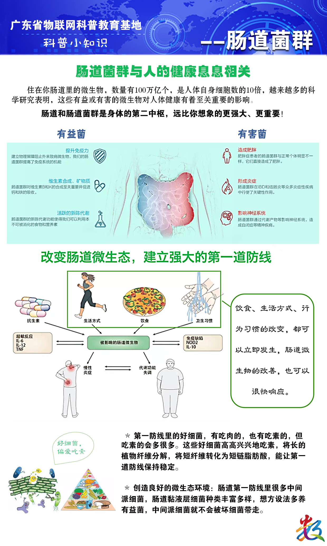 单页介绍（肠道菌群）